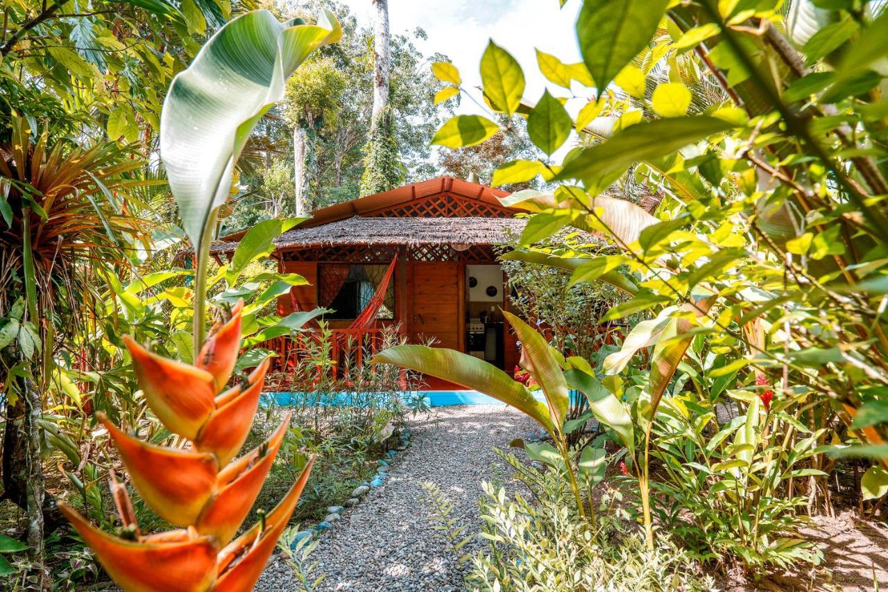 Casitas Las Flores Puerto Viejo de Talamanca Luaran gambar