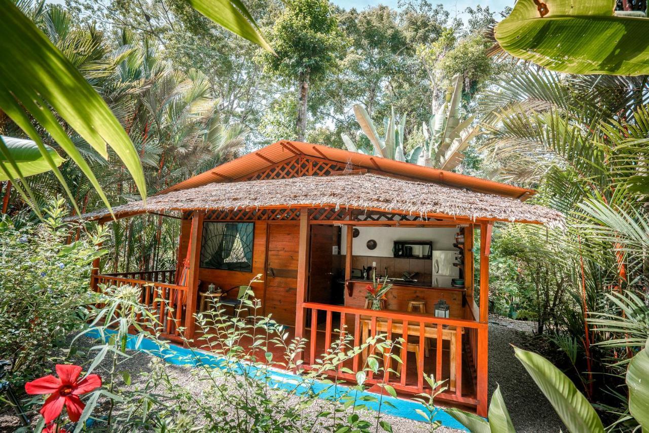 Casitas Las Flores Puerto Viejo de Talamanca Luaran gambar