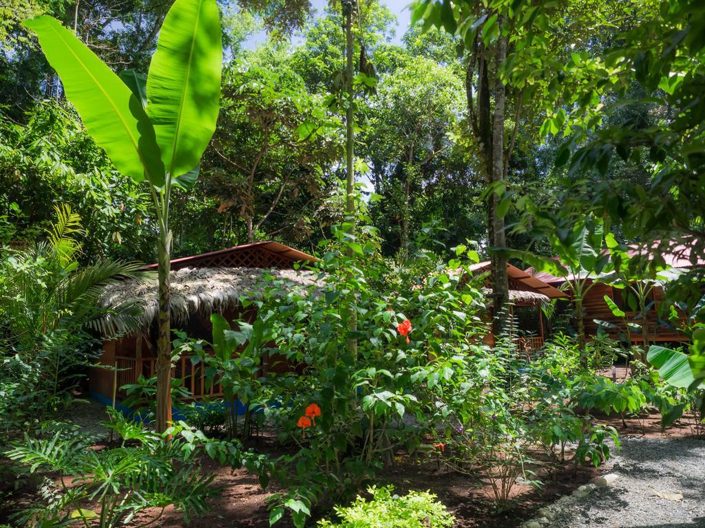 Casitas Las Flores Puerto Viejo de Talamanca Luaran gambar