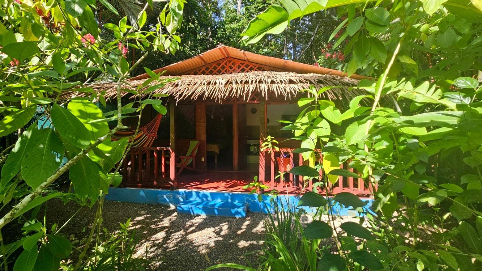 Casitas Las Flores Puerto Viejo de Talamanca Luaran gambar