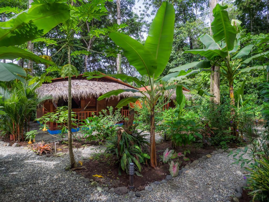 Casitas Las Flores Puerto Viejo de Talamanca Bilik gambar