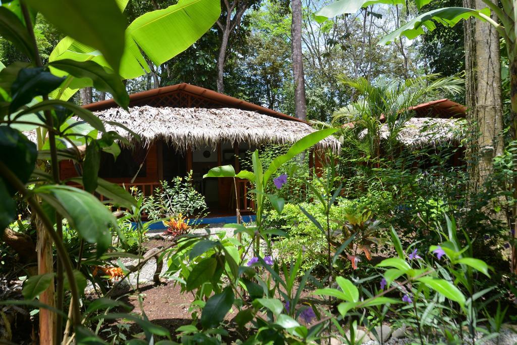 Casitas Las Flores Puerto Viejo de Talamanca Luaran gambar