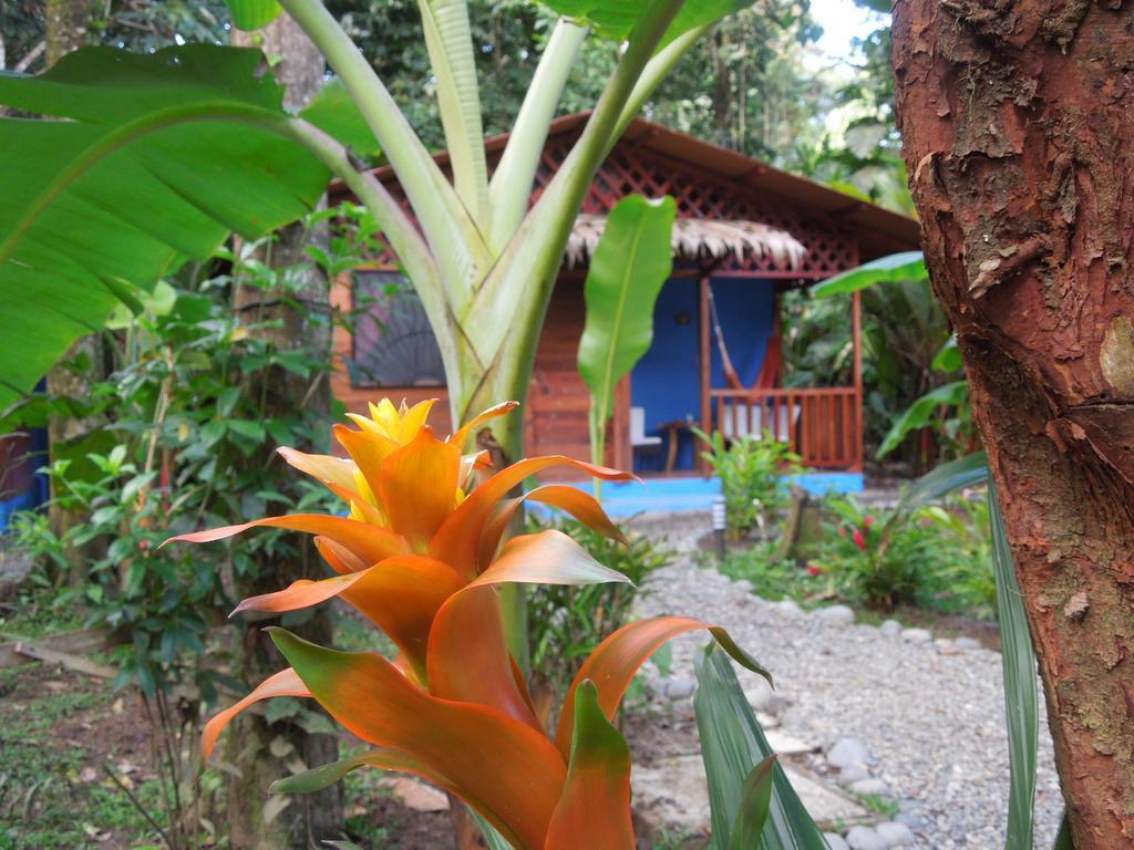 Casitas Las Flores Puerto Viejo de Talamanca Luaran gambar