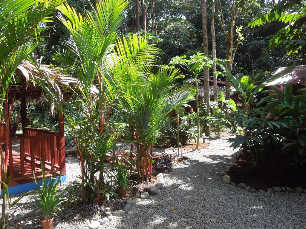 Casitas Las Flores Puerto Viejo de Talamanca Luaran gambar