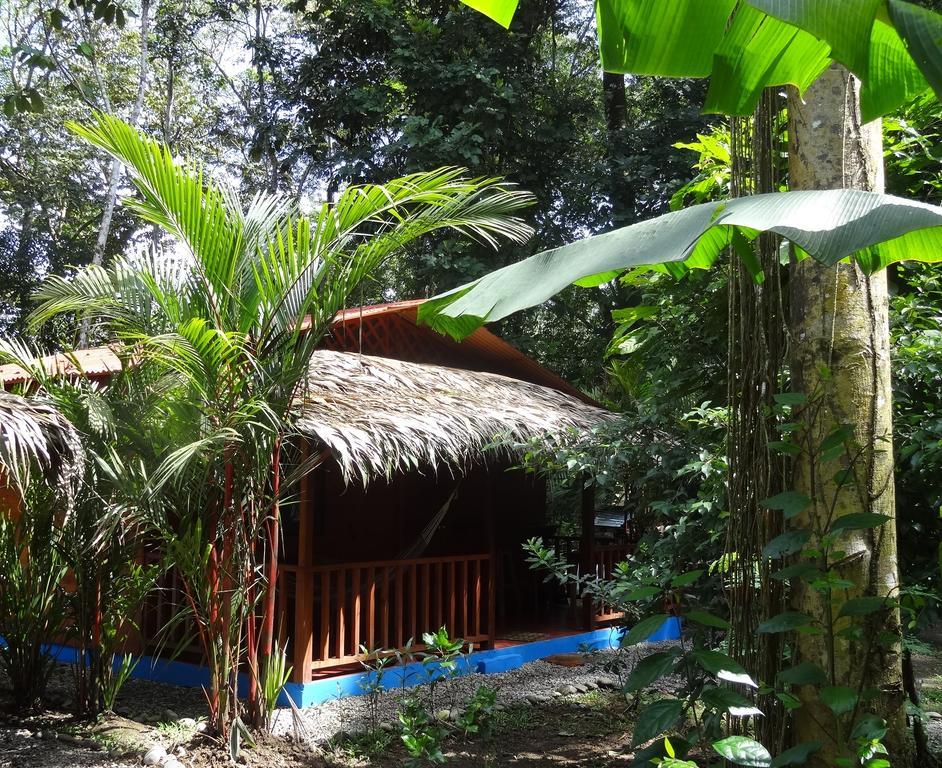 Casitas Las Flores Puerto Viejo de Talamanca Luaran gambar