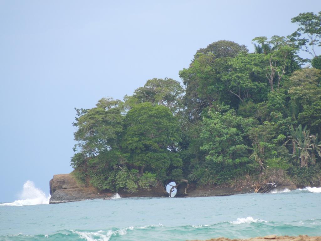 Casitas Las Flores Puerto Viejo de Talamanca Luaran gambar