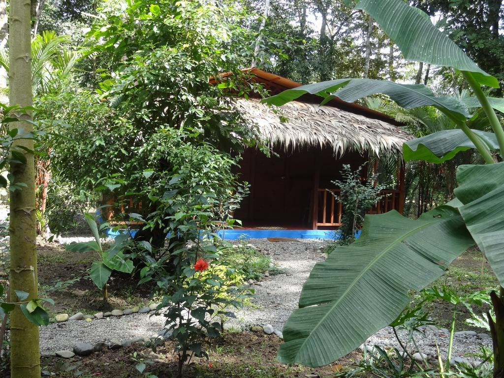 Casitas Las Flores Puerto Viejo de Talamanca Luaran gambar